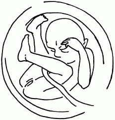 Иллюстрация к книге — 1001 вопрос будущей мамы. Большая книга ответов на все вопросы [i_026.jpg]