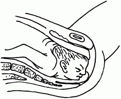 Иллюстрация к книге — 1001 вопрос будущей мамы. Большая книга ответов на все вопросы [i_049.jpg]