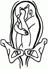 Иллюстрация к книге — 1001 вопрос будущей мамы. Большая книга ответов на все вопросы [i_052.jpg]