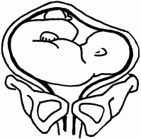 Иллюстрация к книге — 1001 вопрос будущей мамы. Большая книга ответов на все вопросы [i_053.jpg]