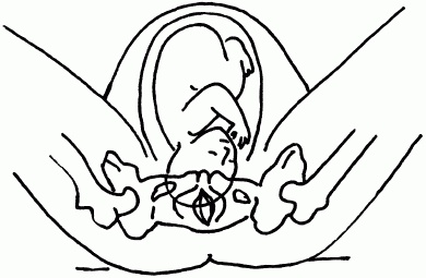 Иллюстрация к книге — 1001 вопрос будущей мамы. Большая книга ответов на все вопросы [i_061.jpg]