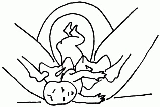 Иллюстрация к книге — 1001 вопрос будущей мамы. Большая книга ответов на все вопросы [i_064.jpg]