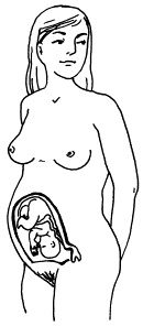 Иллюстрация к книге — Все, что будущая мама хочет знать, но не знает, у кого спросить [i_009.jpg]