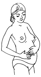 Иллюстрация к книге — Все, что будущая мама хочет знать, но не знает, у кого спросить [i_013.jpg]