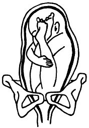 Иллюстрация к книге — Все, что будущая мама хочет знать, но не знает, у кого спросить [i_044.jpg]