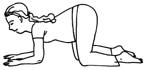 Иллюстрация к книге — Все, что будущая мама хочет знать, но не знает, у кого спросить [i_048.jpg]