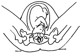 Иллюстрация к книге — Все, что будущая мама хочет знать, но не знает, у кого спросить [i_053.jpg]