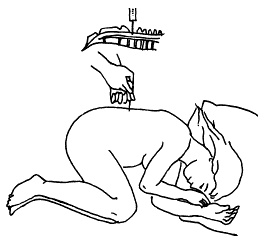 Иллюстрация к книге — Все, что будущая мама хочет знать, но не знает, у кого спросить [i_069.jpg]