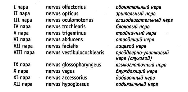 Иллюстрация к книге — Медики шутят, пока молчит сирена [image5.jpg]