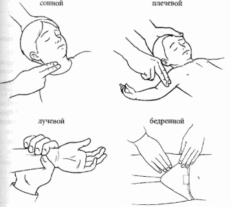 Иллюстрация к книге — Неотложная помощь. Справочник для родителей. Всегда под рукой [i_006.jpg]