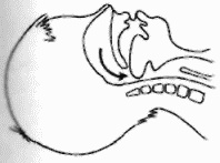 Иллюстрация к книге — Неотложная помощь. Справочник для родителей. Всегда под рукой [i_009.jpg]