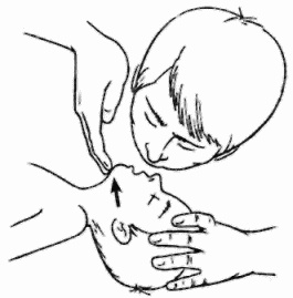 Иллюстрация к книге — Неотложная помощь. Справочник для родителей. Всегда под рукой [i_013.jpg]