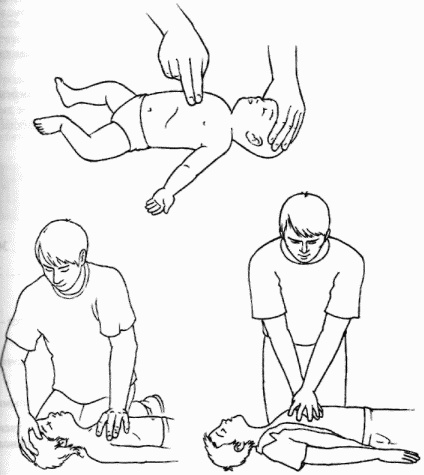 Иллюстрация к книге — Неотложная помощь. Справочник для родителей. Всегда под рукой [i_018.jpg]