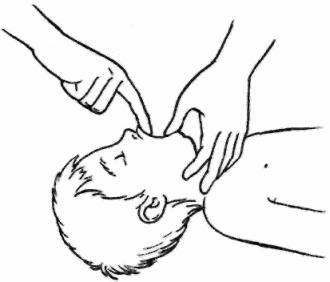 Иллюстрация к книге — Неотложная помощь. Справочник для родителей. Всегда под рукой [i_021.jpg]