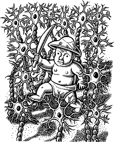 Иллюстрация к книге — Тайны мозга вашего ребенка [_09.jpg]