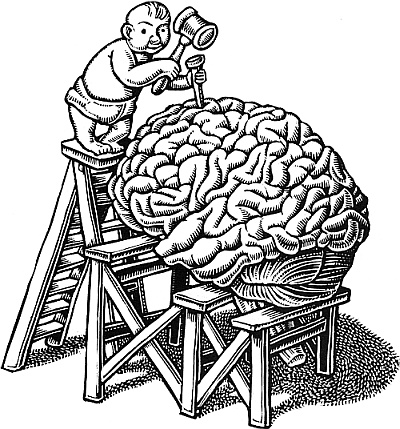 Иллюстрация к книге — Тайны мозга вашего ребенка [_13.jpg]