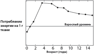 Иллюстрация к книге — Тайны мозга вашего ребенка [_14.jpg]