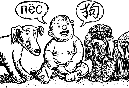 Иллюстрация к книге — Тайны мозга вашего ребенка [_15.jpg]