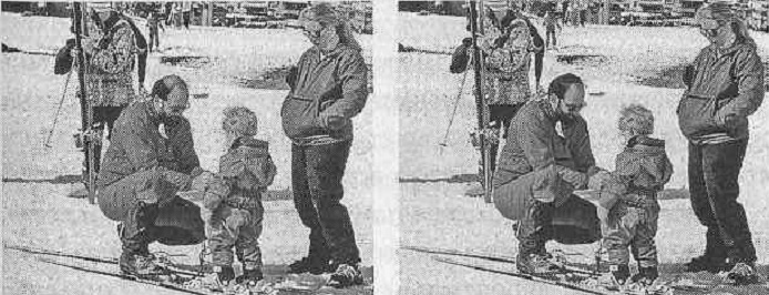 Иллюстрация к книге — Тайны нашего мозга, или Почему умные люди делают глупости [i_001.jpg]