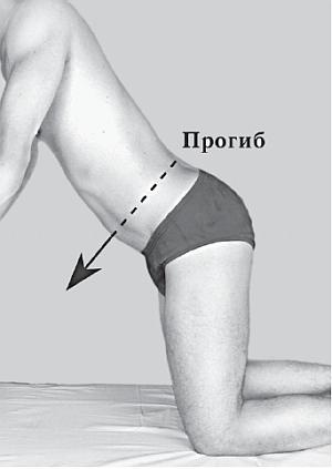 Иллюстрация к книге — Все о позвоночнике для тех, кому за... [_23.jpg]