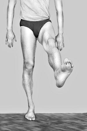 Иллюстрация к книге — Все о позвоночнике для тех, кому за... [_26.jpg]