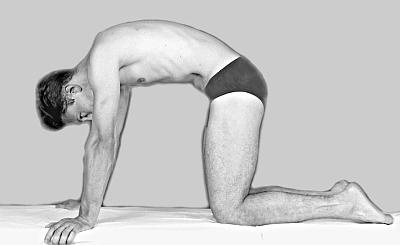 Иллюстрация к книге — Все о позвоночнике для тех, кому за... [_90.jpg]