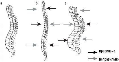 Иллюстрация к книге — Скульптурная гимнастика для мышц, суставов и внутренних органов [Autogen_eBook_id0.jpg]