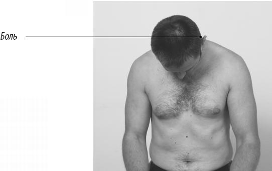 Иллюстрация к книге — Скульптурная гимнастика для мышц, суставов и внутренних органов [Autogen_eBook_id110.jpg]