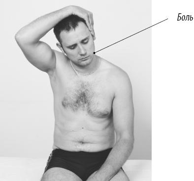 Иллюстрация к книге — Скульптурная гимнастика для мышц, суставов и внутренних органов [Autogen_eBook_id122.jpg]