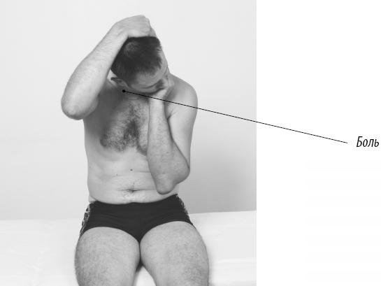 Иллюстрация к книге — Скульптурная гимнастика для мышц, суставов и внутренних органов [Autogen_eBook_id125.jpg]