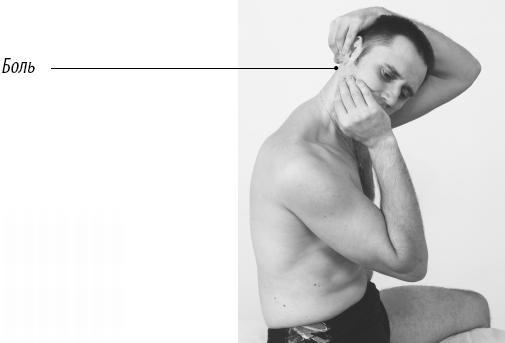 Иллюстрация к книге — Скульптурная гимнастика для мышц, суставов и внутренних органов [Autogen_eBook_id129.jpg]