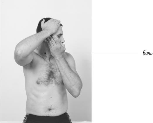 Иллюстрация к книге — Скульптурная гимнастика для мышц, суставов и внутренних органов [Autogen_eBook_id130.jpg]