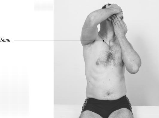 Иллюстрация к книге — Скульптурная гимнастика для мышц, суставов и внутренних органов [Autogen_eBook_id131.jpg]