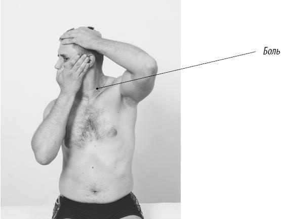 Иллюстрация к книге — Скульптурная гимнастика для мышц, суставов и внутренних органов [Autogen_eBook_id132.jpg]