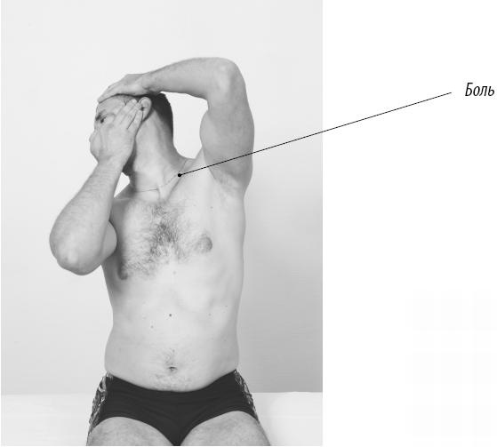 Иллюстрация к книге — Скульптурная гимнастика для мышц, суставов и внутренних органов [Autogen_eBook_id133.jpg]