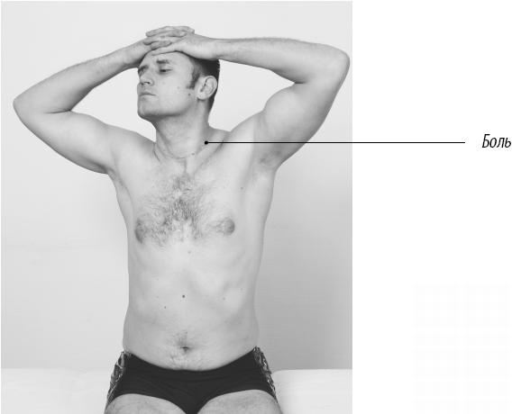 Иллюстрация к книге — Скульптурная гимнастика для мышц, суставов и внутренних органов [Autogen_eBook_id136.jpg]