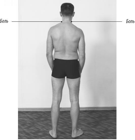 Иллюстрация к книге — Скульптурная гимнастика для мышц, суставов и внутренних органов [Autogen_eBook_id143.jpg]