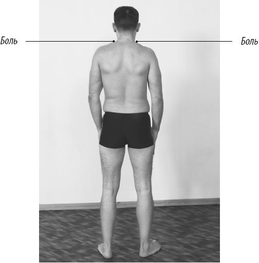 Иллюстрация к книге — Скульптурная гимнастика для мышц, суставов и внутренних органов [Autogen_eBook_id146.jpg]
