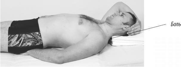 Иллюстрация к книге — Скульптурная гимнастика для мышц, суставов и внутренних органов [Autogen_eBook_id148.jpg]