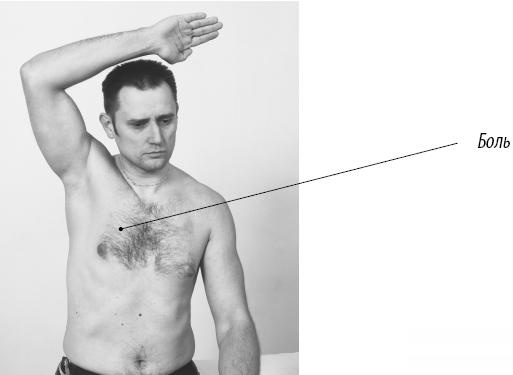 Иллюстрация к книге — Скульптурная гимнастика для мышц, суставов и внутренних органов [Autogen_eBook_id151.jpg]