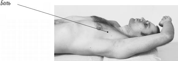 Иллюстрация к книге — Скульптурная гимнастика для мышц, суставов и внутренних органов [Autogen_eBook_id155.jpg]