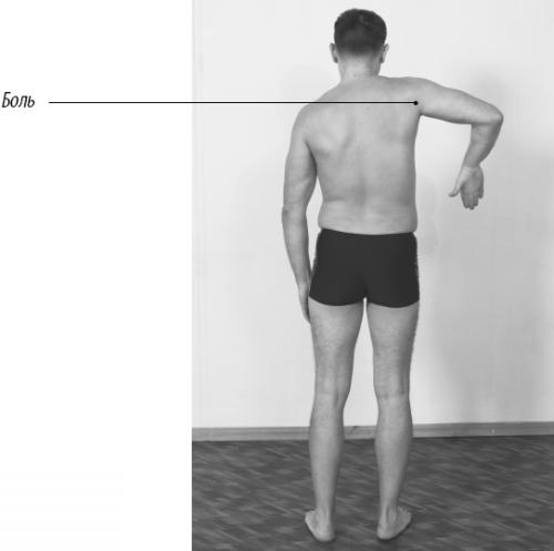 Иллюстрация к книге — Скульптурная гимнастика для мышц, суставов и внутренних органов [Autogen_eBook_id162.jpg]