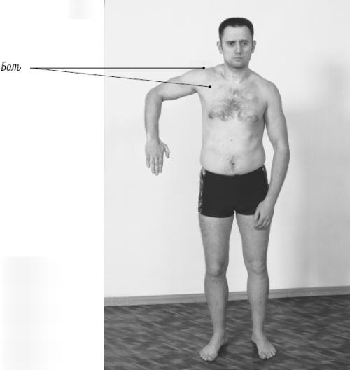 Иллюстрация к книге — Скульптурная гимнастика для мышц, суставов и внутренних органов [Autogen_eBook_id164.jpg]