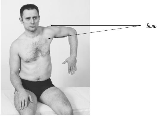 Иллюстрация к книге — Скульптурная гимнастика для мышц, суставов и внутренних органов [Autogen_eBook_id165.jpg]