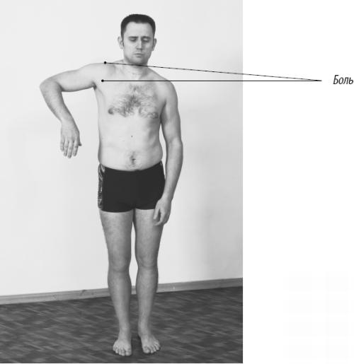 Иллюстрация к книге — Скульптурная гимнастика для мышц, суставов и внутренних органов [Autogen_eBook_id166.jpg]