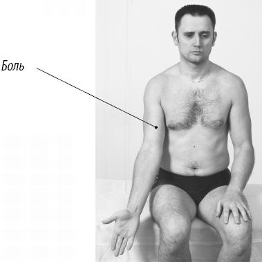 Иллюстрация к книге — Скульптурная гимнастика для мышц, суставов и внутренних органов [Autogen_eBook_id167.jpg]