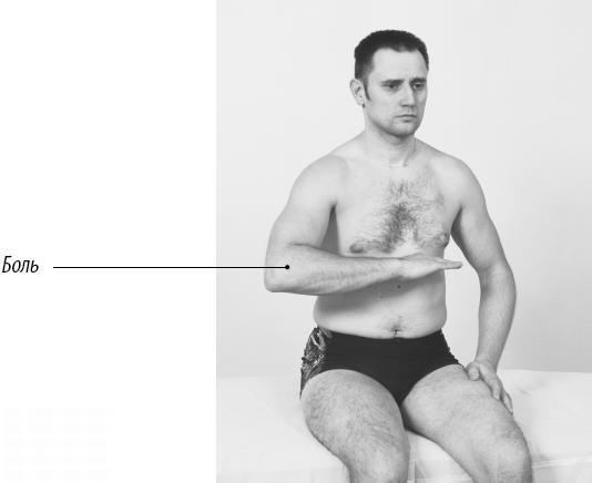 Иллюстрация к книге — Скульптурная гимнастика для мышц, суставов и внутренних органов [Autogen_eBook_id171.jpg]