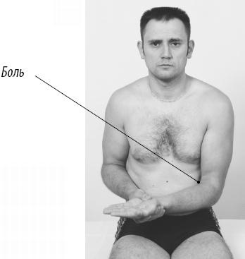 Иллюстрация к книге — Скульптурная гимнастика для мышц, суставов и внутренних органов [Autogen_eBook_id177.jpg]