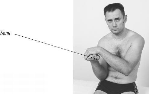 Иллюстрация к книге — Скульптурная гимнастика для мышц, суставов и внутренних органов [Autogen_eBook_id182.jpg]