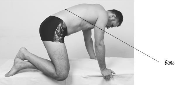 Иллюстрация к книге — Скульптурная гимнастика для мышц, суставов и внутренних органов [Autogen_eBook_id183.jpg]